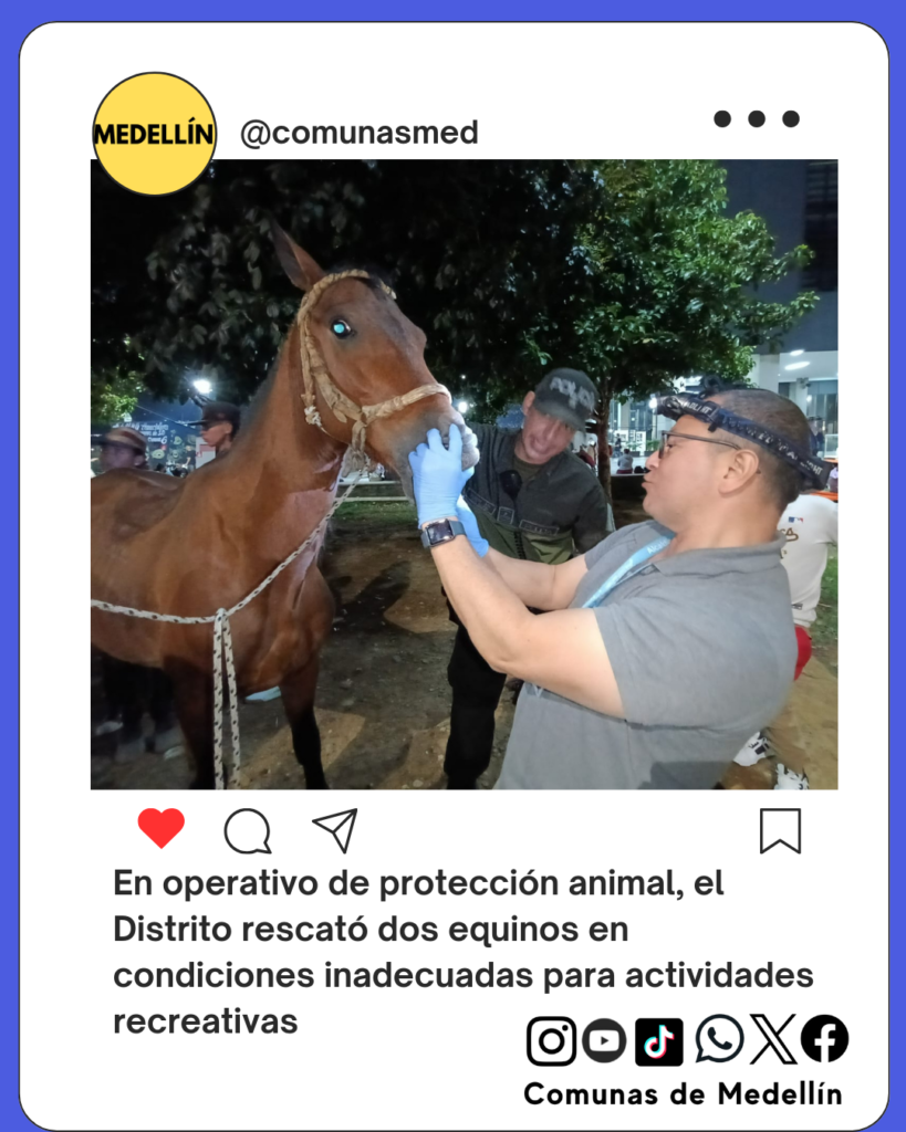Rescate de animales en Medellin